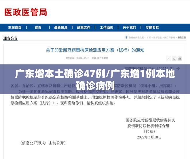 广东增本土确诊47例/广东增1例本地确诊病例 广东增本土确诊47例/广东增1例本地确诊病例