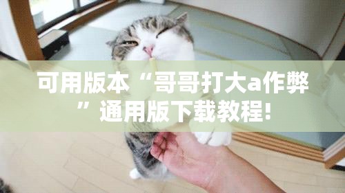 可用版本“哥哥打大a作弊”通用版下载教程! 可用版本“哥哥打大a作弊”通用版下载教程!