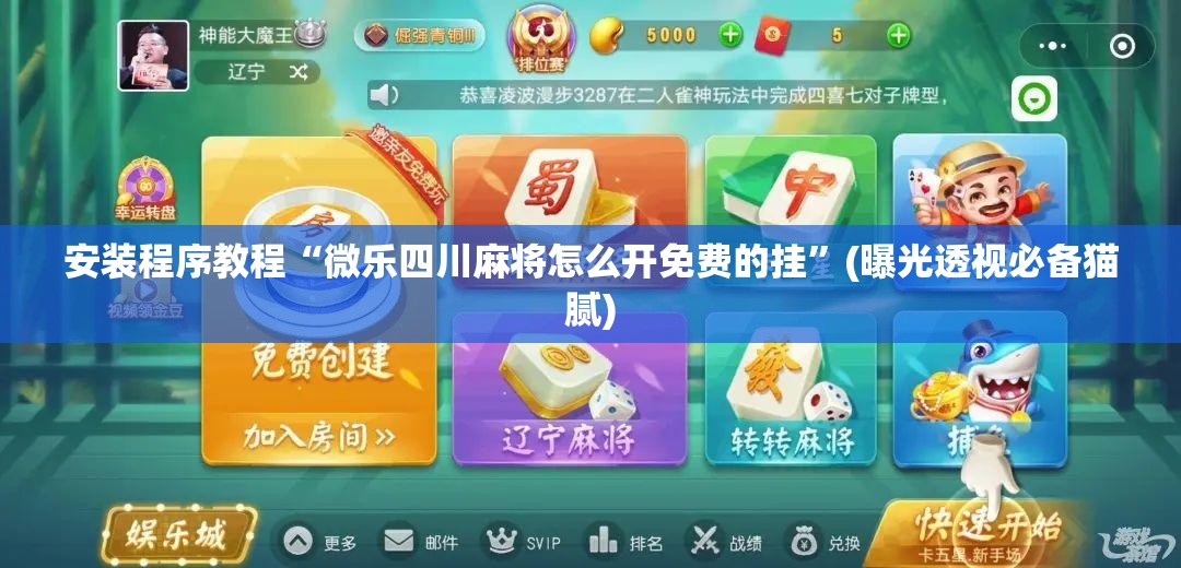 安装程序教程“微乐四川麻将怎么开免费的挂”(曝光透视必备猫腻)