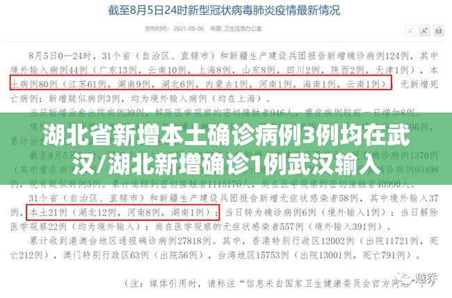 湖北省新增本土确诊病例3例均在武汉/湖北新增确诊1例武汉输入