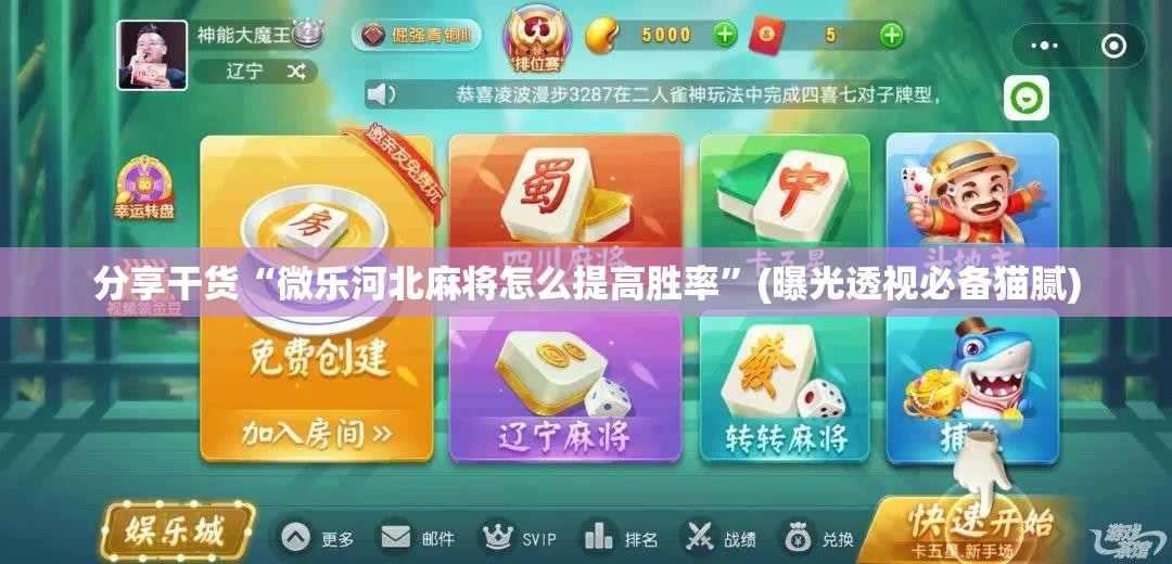 分享干货“微乐河北麻将怎么提高胜率”(曝光透视必备猫腻)