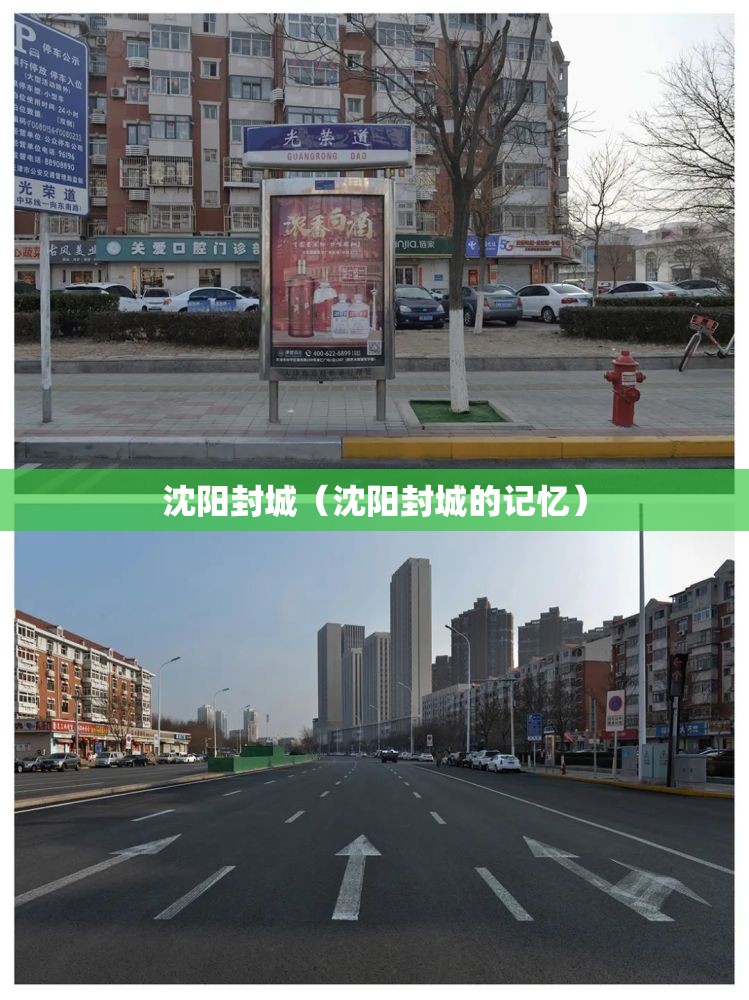 沈阳封城（沈阳封城的记忆）