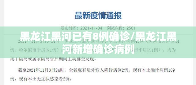 黑龙江黑河已有8例确诊/黑龙江黑河新增确诊病例
