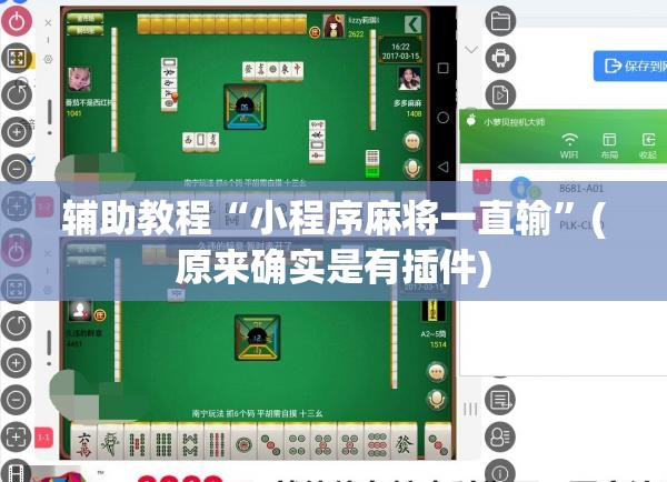 辅助教程“小程序麻将一直输”(原来确实是有插件)