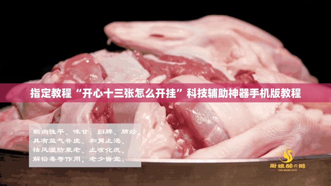 指定教程“开心十三张怎么开挂”科技辅助神器手机版教程 指定教程“开心十三张怎么开挂”科技辅助神器手机版教程