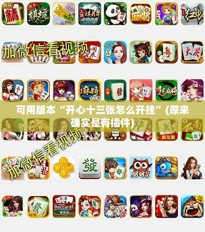 可用版本“开心十三张怎么开挂”(原来确实是有插件) 可用版本“开心十三张怎么开挂”(原来确实是有插件)