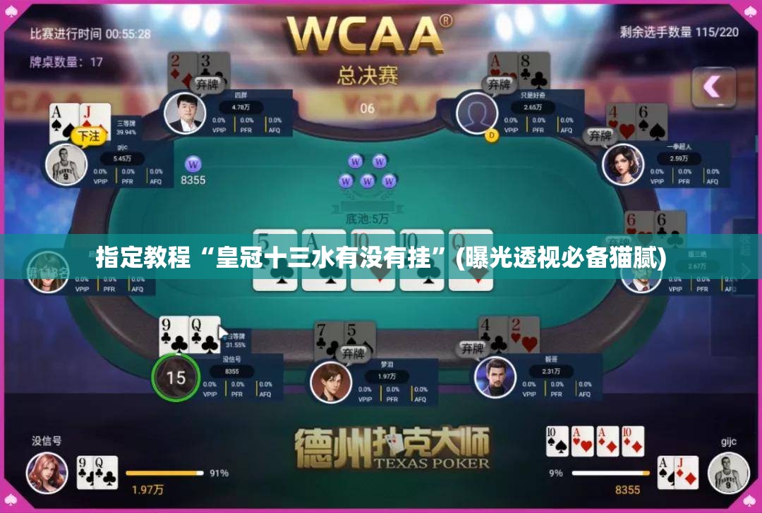 指定教程“皇冠十三水有没有挂”(曝光透视必备猫腻) 指定教程“皇冠十三水有没有挂”(曝光透视必备猫腻)