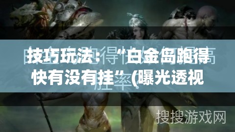 技巧玩法：“白金岛跑得快有没有挂”(曝光透视必备猫腻)