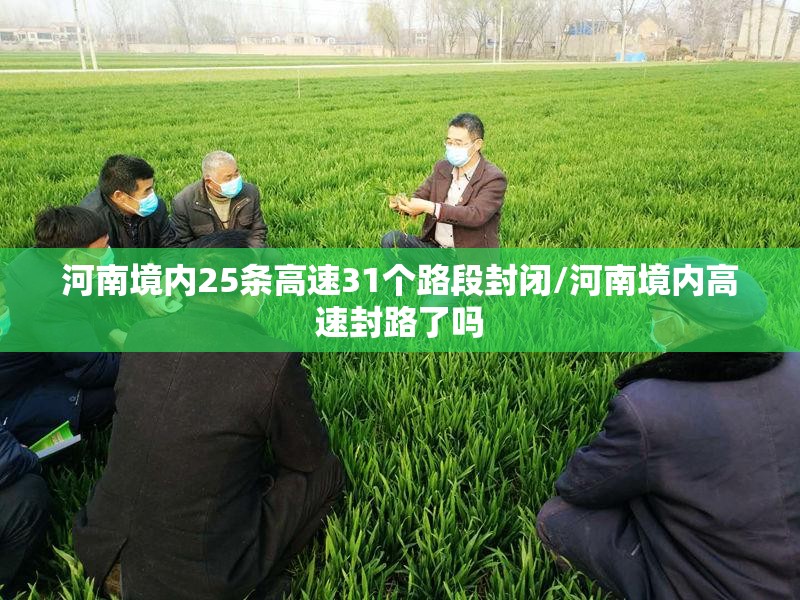 河南境内25条高速31个路段封闭/河南境内高速封路了吗