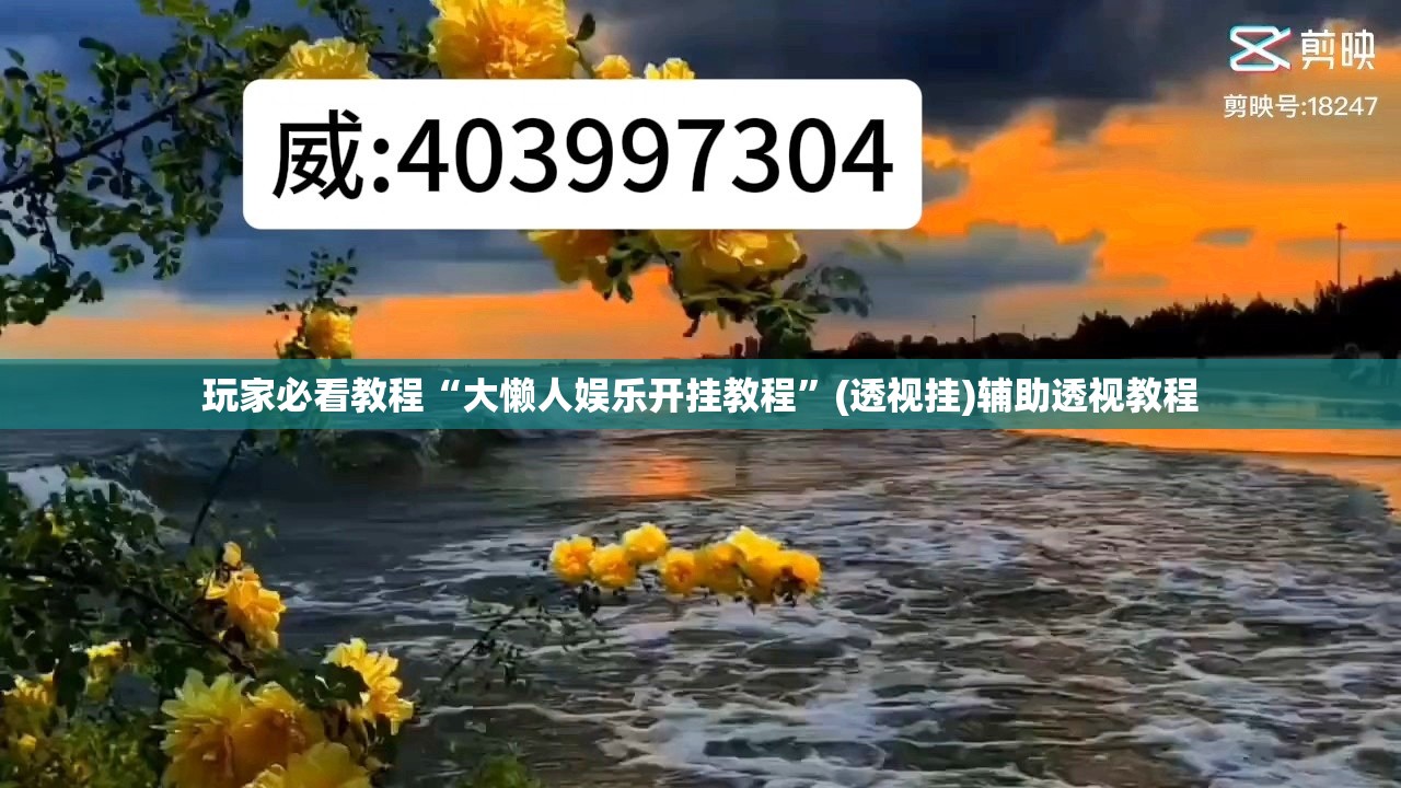 玩家必看教程“大懒人娱乐开挂教程”(透视挂)辅助透视教程