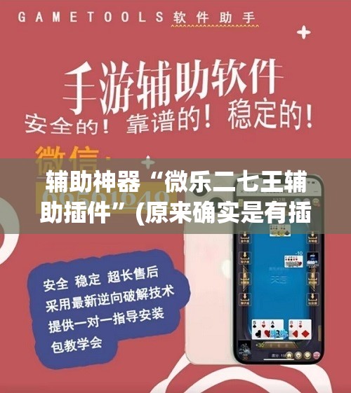 辅助神器“微乐二七王辅助插件”(原来确实是有插件)