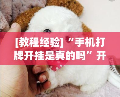 [教程经验]“手机打牌开挂是真的吗”开挂详细安装教程