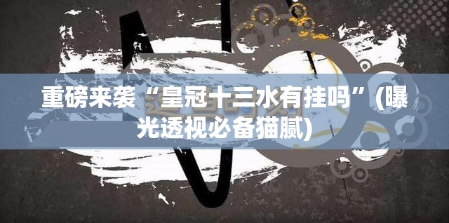 重磅来袭“皇冠十三水有挂吗”(曝光透视必备猫腻)