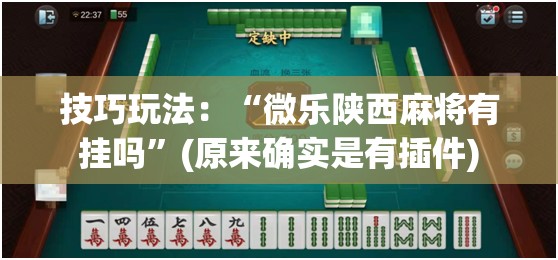 技巧玩法：“微乐陕西麻将有挂吗”(原来确实是有插件)