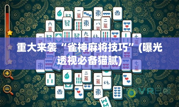重大来袭“雀神麻将技巧”(曝光透视必备猫腻)