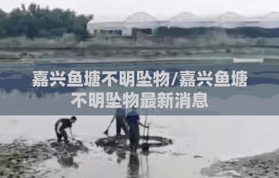 嘉兴鱼塘不明坠物/嘉兴鱼塘不明坠物最新消息