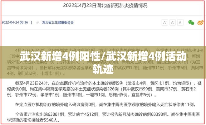 武汉新增4例阳性/武汉新增4例活动轨迹