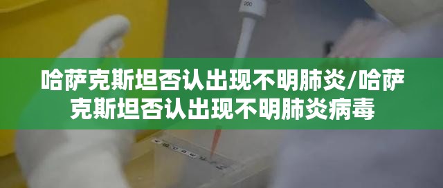 哈萨克斯坦否认出现不明肺炎/哈萨克斯坦否认出现不明肺炎病毒 哈萨克斯坦否认出现不明肺炎/哈萨克斯坦否认出现不明肺炎病毒
