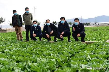 厦门同安疫情最新消息(厦门同安疫情最新发布) 厦门同安疫情最新消息(厦门同安疫情最新发布)