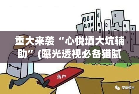 重大来袭“心悦填大坑辅助”(曝光透视必备猫腻) 重大来袭“心悦填大坑辅助”(曝光透视必备猫腻)