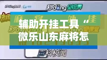 辅助开挂工具“微乐山东麻将怎么才能常赢”通用版下载教程! 辅助开挂工具“微乐山东麻将怎么才能常赢”通用版下载教程!