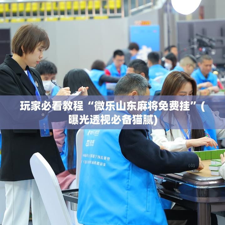玩家必看教程“微乐山东麻将免费挂”(曝光透视必备猫腻)