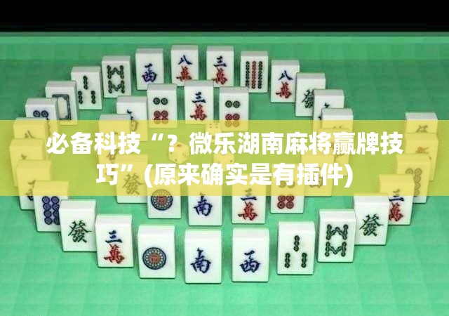 必备科技“?微乐湖南麻将赢牌技巧”(原来确实是有插件) 必备科技“?微乐湖南麻将赢牌技巧”(原来确实是有插件)