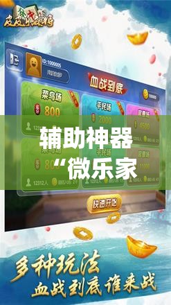辅助神器“微乐家乡麻将万能开挂器通用版(透视)”详细辅助透视