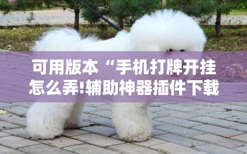 可用版本“手机打牌开挂怎么弄!辅助神器插件下载 可用版本“手机打牌开挂怎么弄!辅助神器插件下载