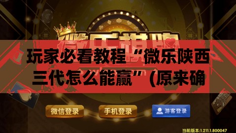 玩家必看教程“微乐陕西三代怎么能赢”(原来确实是有插件) 玩家必看教程“微乐陕西三代怎么能赢”(原来确实是有插件)
