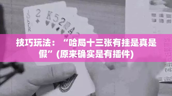 技巧玩法:“哈局十三张有挂是真是假”(原来确实是有插件) 技巧玩法:“哈局十三张有挂是真是假”(原来确实是有插件)