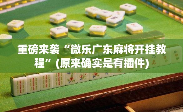 重磅来袭“微乐广东麻将开挂教程”(原来确实是有插件) 重磅来袭“微乐广东麻将开挂教程”(原来确实是有插件)