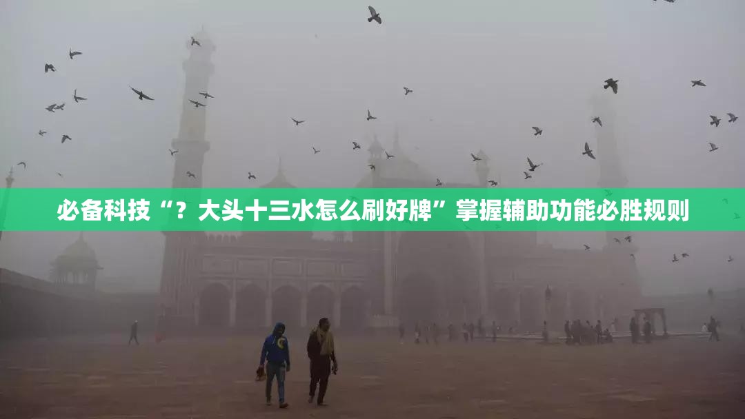 必备科技“？大头十三水怎么刷好牌”掌握辅助功能必胜规则