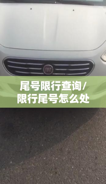 尾号限行查询/限行尾号怎么处罚