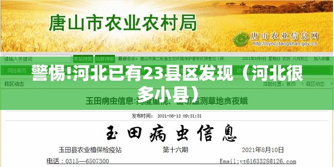 警惕!河北已有23县区发现（河北很多小县）