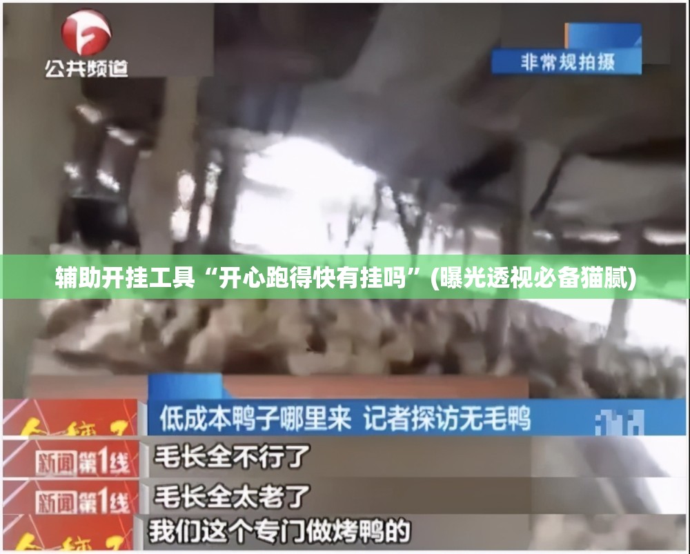 辅助开挂工具“开心跑得快有挂吗”(曝光透视必备猫腻) 辅助开挂工具“开心跑得快有挂吗”(曝光透视必备猫腻)