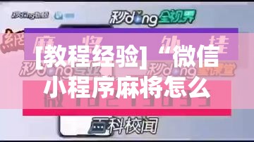 [教程经验]“微信小程序麻将怎么设置才能赢”(原来确实是有插件)