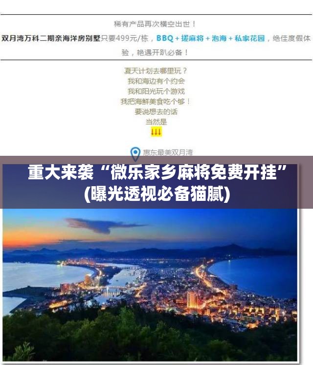 重大来袭“微乐家乡麻将免费开挂”(曝光透视必备猫腻) 重大来袭“微乐家乡麻将免费开挂”(曝光透视必备猫腻)