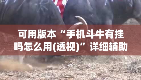 可用版本“手机斗牛有挂吗怎么用(透视)”详细辅助透视 可用版本“手机斗牛有挂吗怎么用(透视)”详细辅助透视
