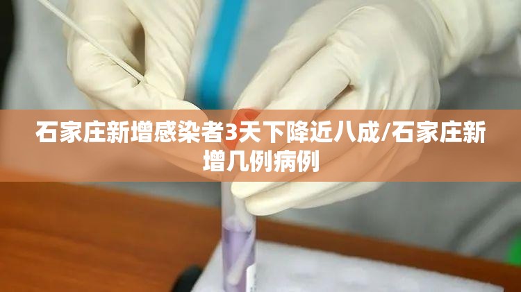 石家庄新增感染者3天下降近八成/石家庄新增几例病例 石家庄新增感染者3天下降近八成/石家庄新增几例病例