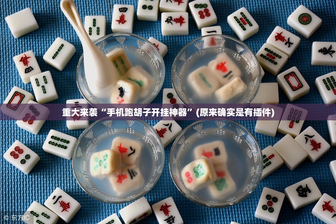 重大来袭“手机跑胡子开挂神器”(原来确实是有插件)