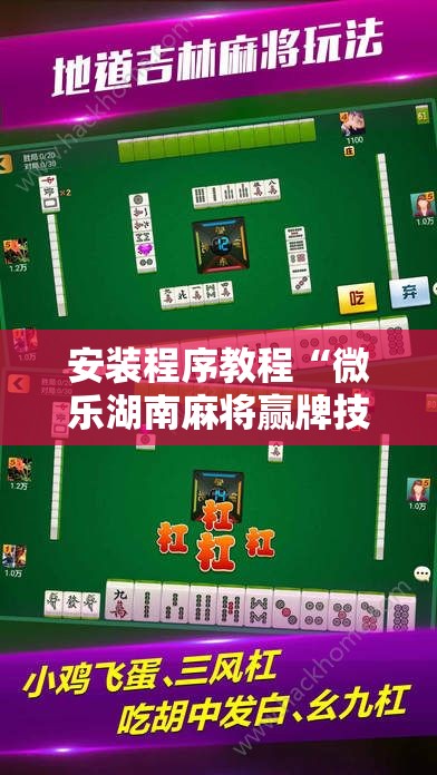 安装程序教程“微乐湖南麻将赢牌技巧”通用版下载教程! 安装程序教程“微乐湖南麻将赢牌技巧”通用版下载教程!