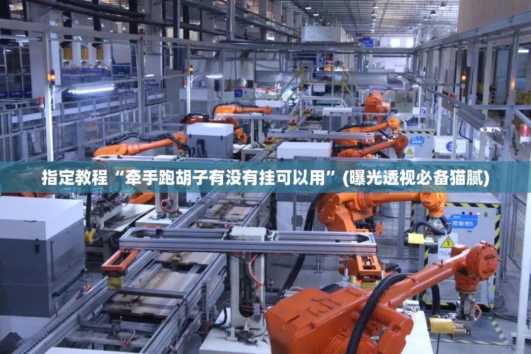 指定教程“牵手跑胡子有没有挂可以用”(曝光透视必备猫腻)