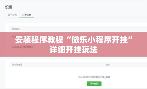 安装程序教程“微乐小程序开挂”详细开挂玩法