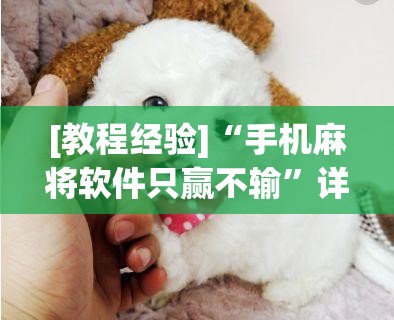[教程经验]“手机麻将软件只赢不输”详细开挂玩法