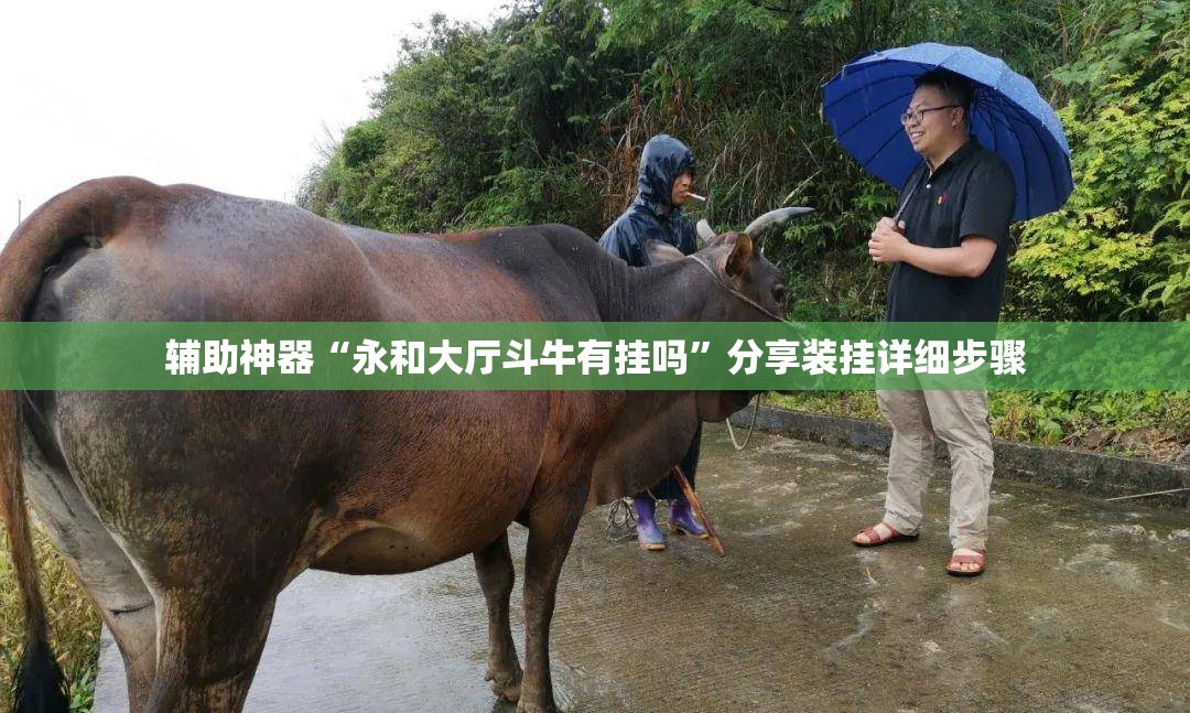 辅助神器“永和大厅斗牛有挂吗”分享装挂详细步骤 辅助神器“永和大厅斗牛有挂吗”分享装挂详细步骤
