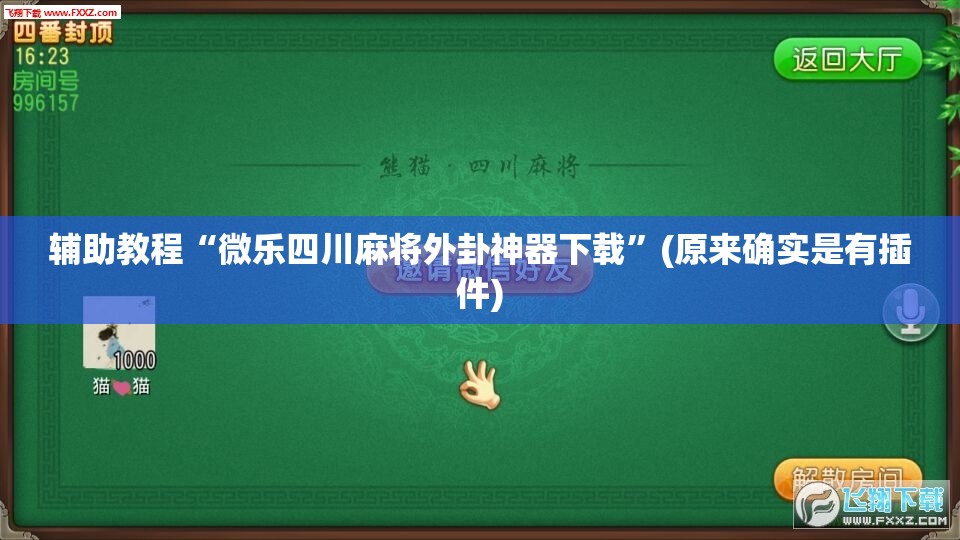 辅助教程“微乐四川麻将外卦神器下载”(原来确实是有插件)