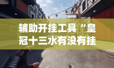 辅助开挂工具“皇冠十三水有没有挂”开挂(透视)辅助神器