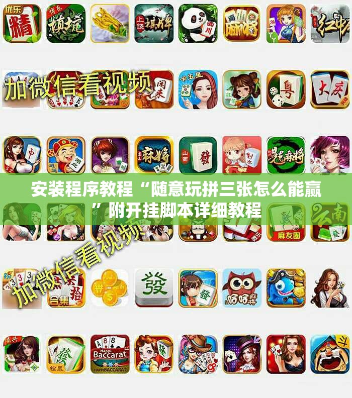 安装程序教程“随意玩拼三张怎么能赢”附开挂脚本详细教程