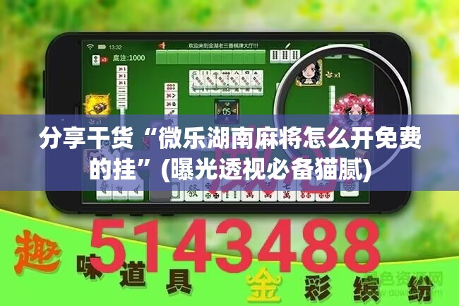 分享干货“微乐湖南麻将怎么开免费的挂”(曝光透视必备猫腻)